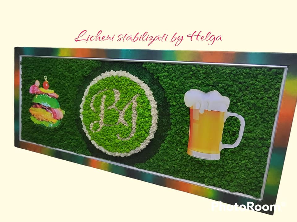 Logo + Casete luminoase  SPE