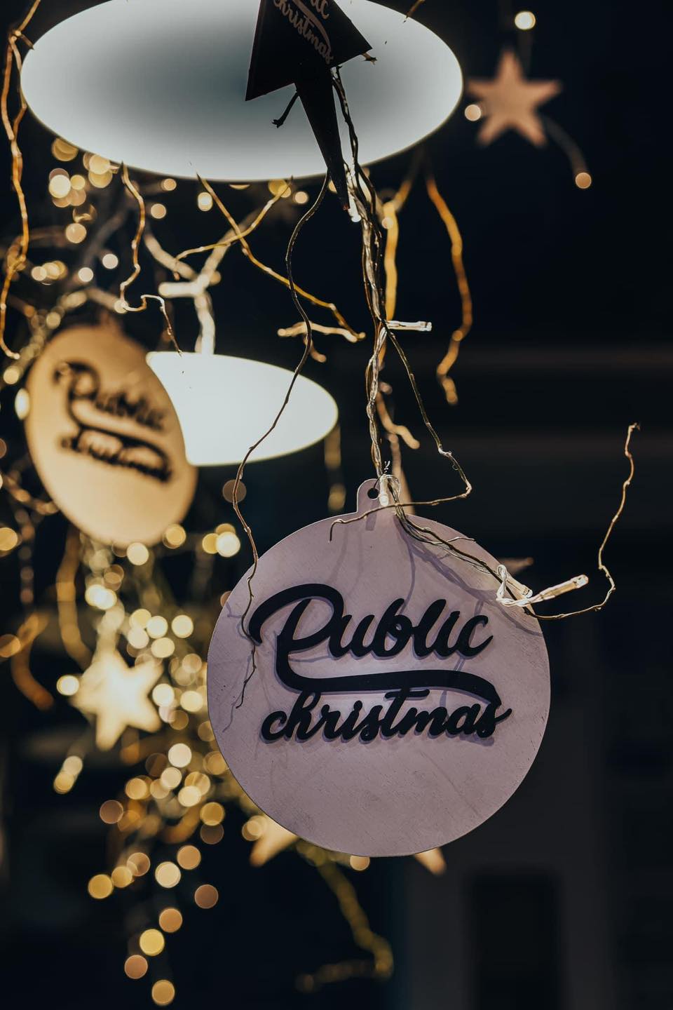 Proiect Stelute Public Christmas SPE