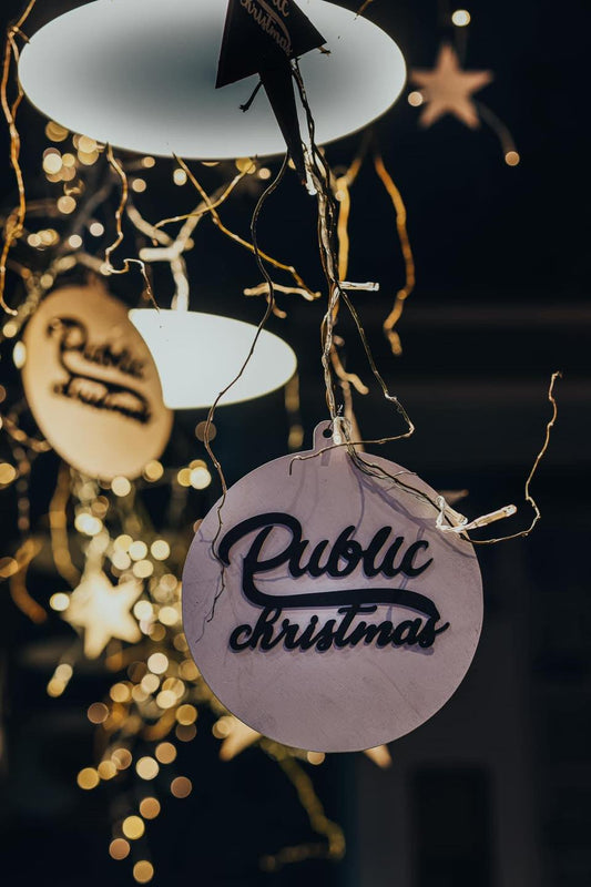 Proiect Stelute Public Christmas SPE