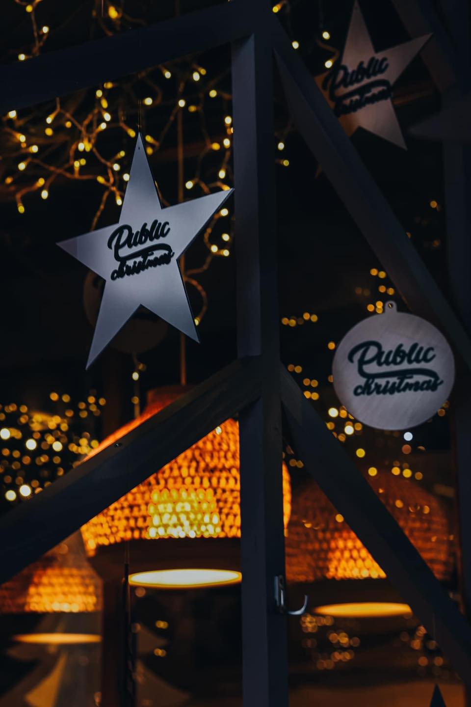 Proiect Stelute Public Christmas SPE