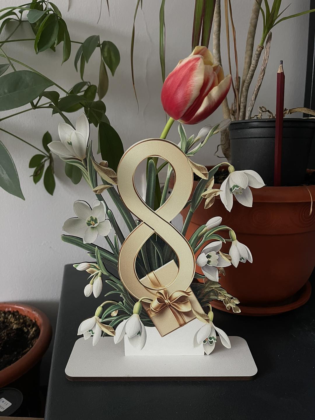 Blank licheni  8 martie  - V192