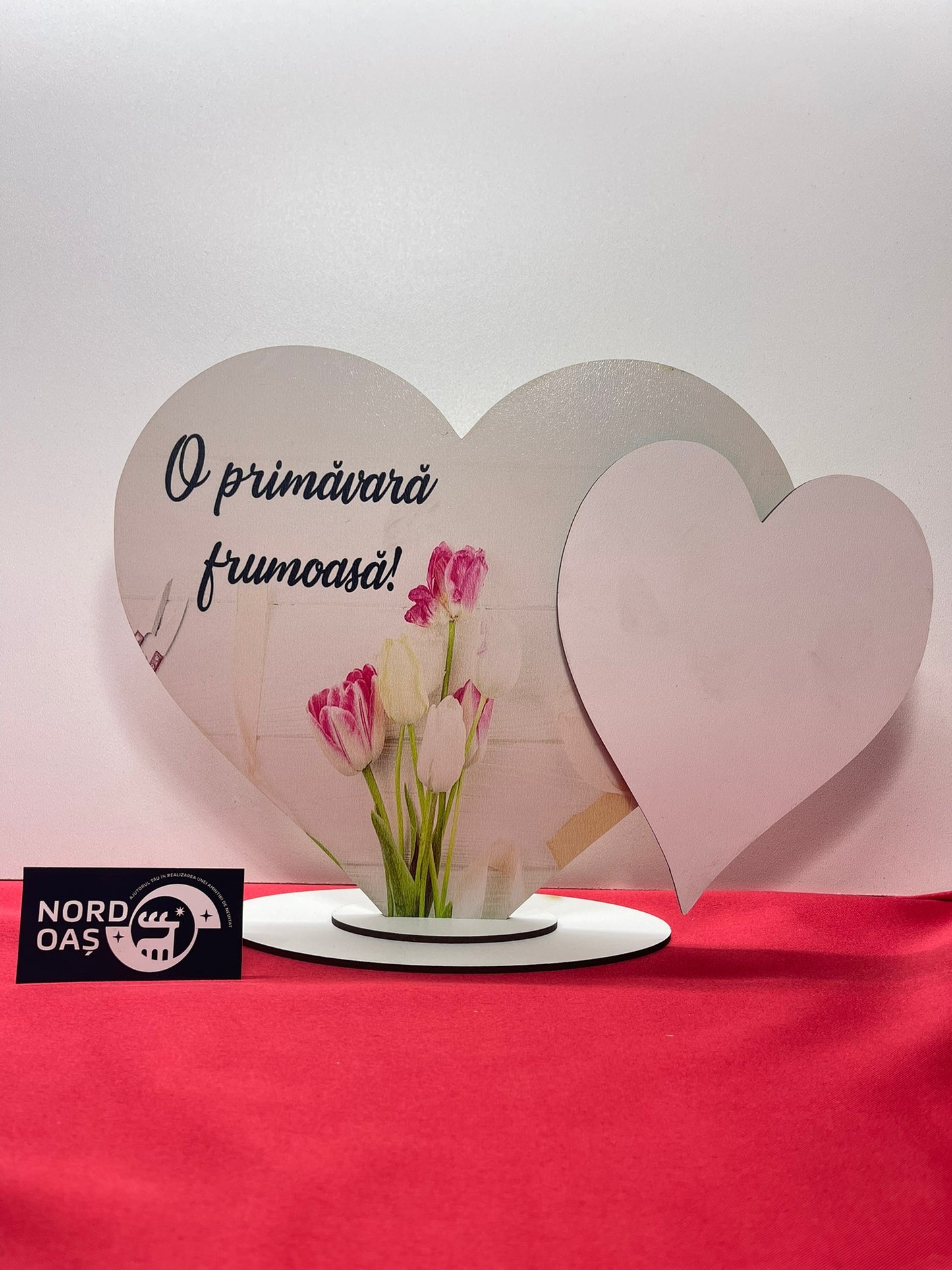 Blank licheni primavara  V48