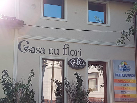 Proiect Casa cu flori SPE