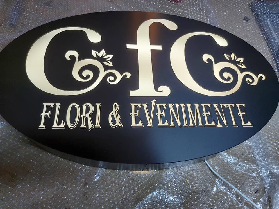 Proiect Casa cu flori SPE