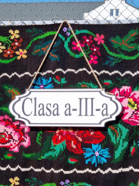 Placuta Clasa 3  SPE