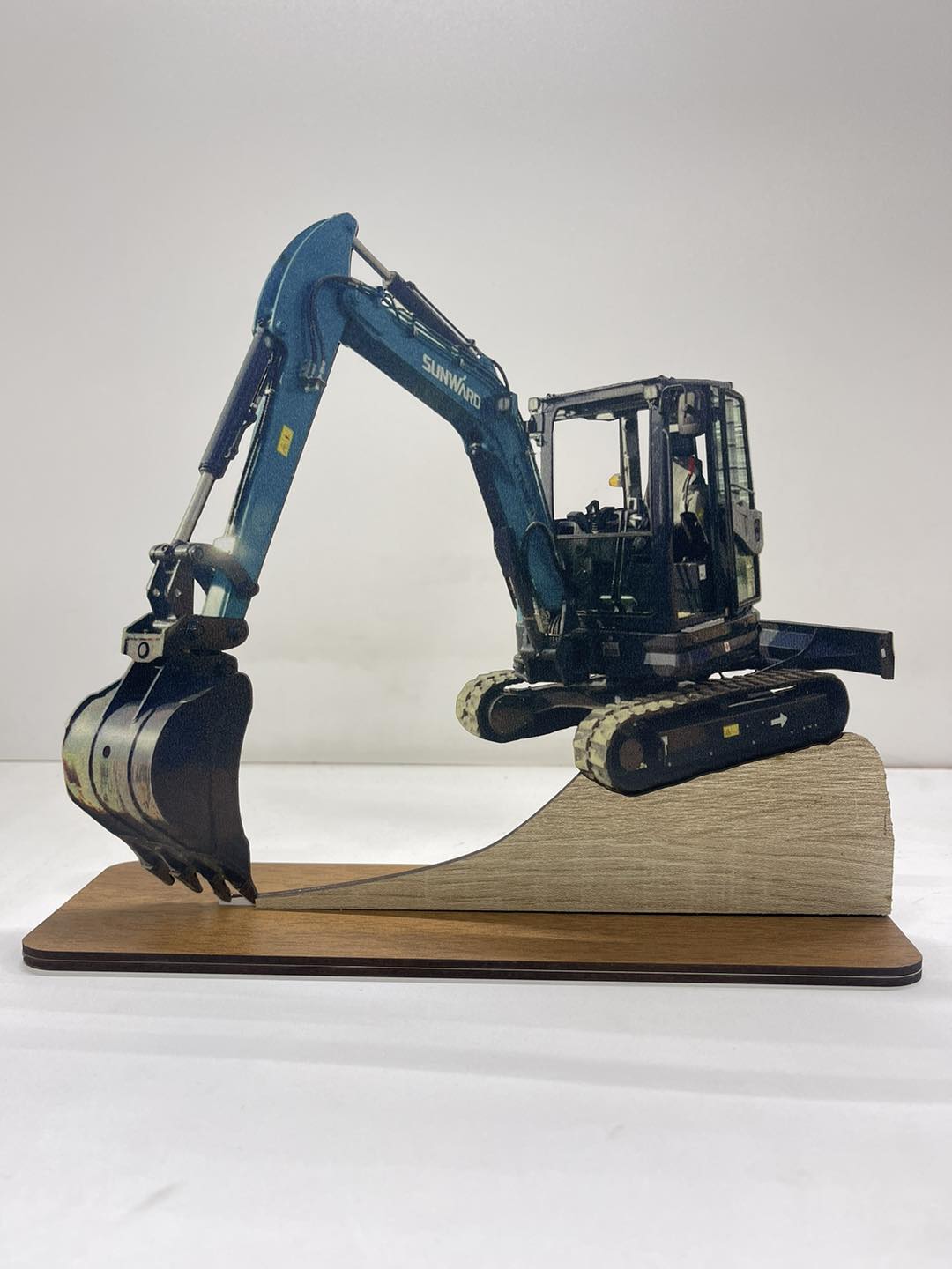 Trofeul Excavator Personalizat TAP